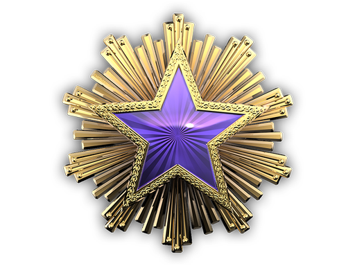 2016 Service Medal