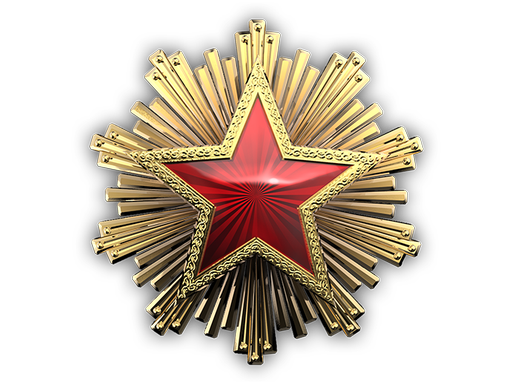2016 Service Medal