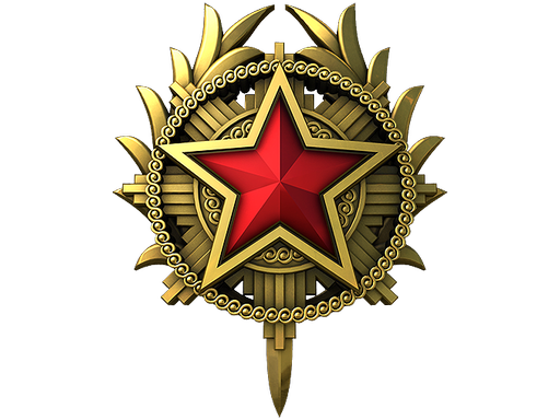 2020 Service Medal