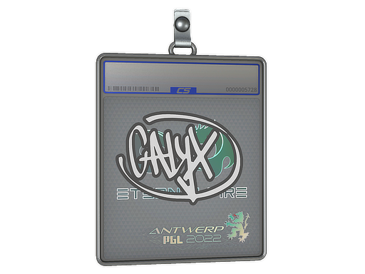 Sticker Slab | Calyx | Antwerp 2022