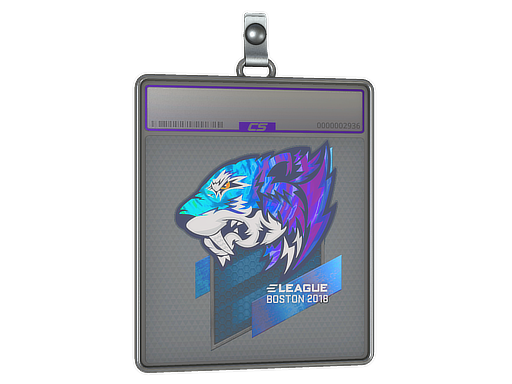 Sticker Slab | Flash Gaming (Holo) | Boston 2018