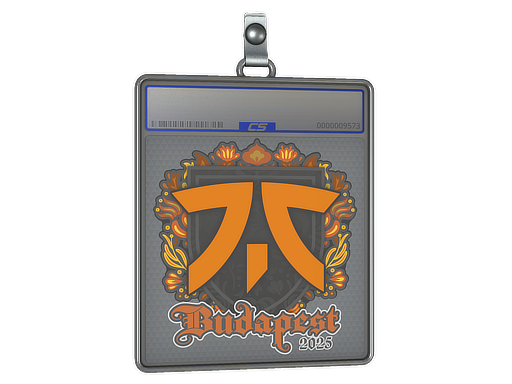 Sticker Slab | fnatic | Budapest 2025