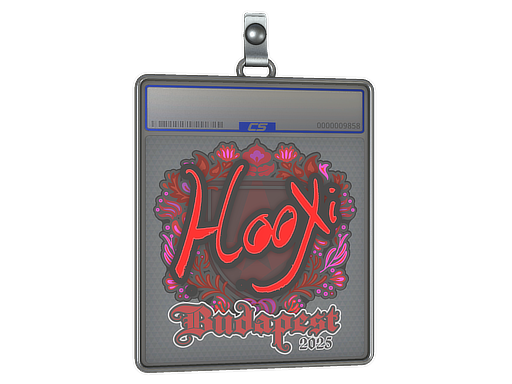 Sticker Slab | HooXi | Budapest 2025