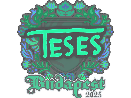 Sticker | TeSeS | Budapest 2025