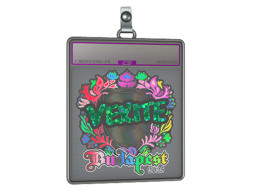 Sticker Slab | vexite (Holo) | Budapest 2025