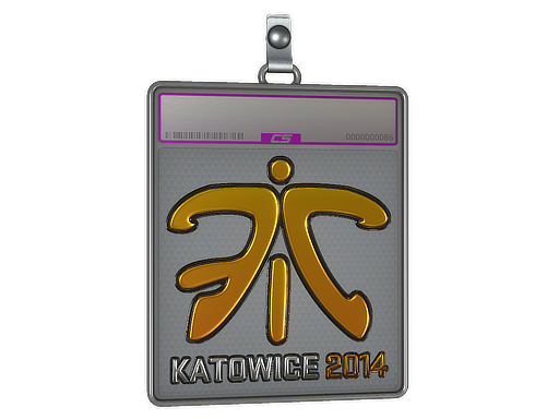 Sticker Slab | Fnatic (Foil) | Katowice 2014