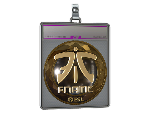 Sticker Slab | Fnatic (Gold) | Katowice 2019
