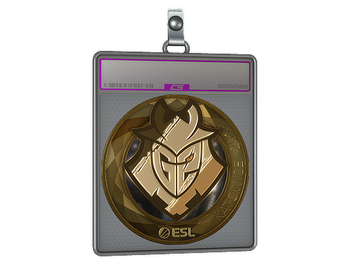 Sticker Slab | G2 Esports (Gold) | Katowice 2019