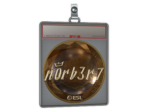 Sticker Slab | n0rb3r7 (Gold) | Katowice 2019
