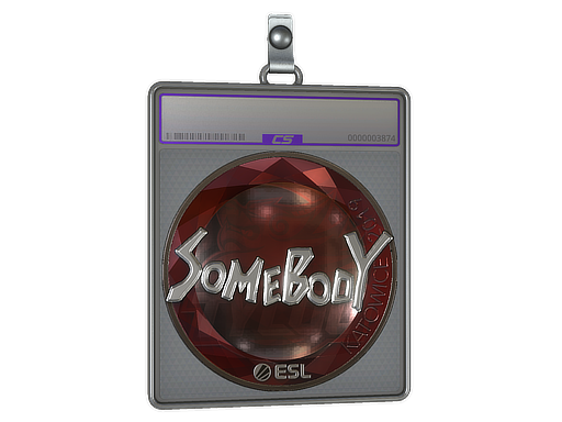 Sticker Slab | somebody (Foil) | Katowice 2019