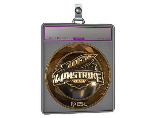 Sticker Slab | Winstrike Team (Gold) | Katowice 2019