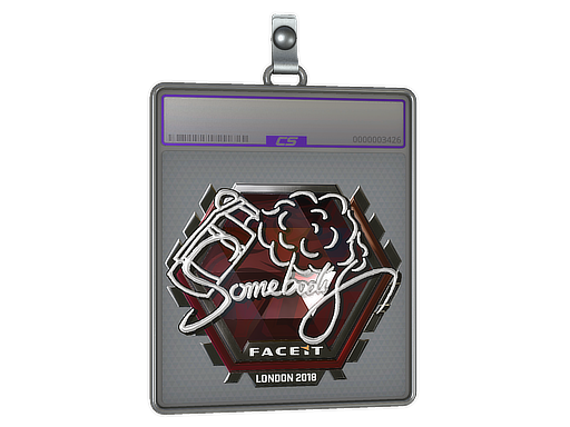 Sticker Slab | somebody (Foil) | London 2018