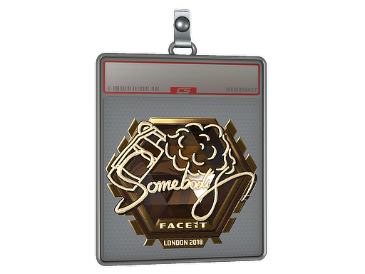 Sticker Slab | somebody (Gold) | London 2018