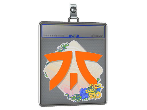 Sticker Slab | Fnatic | Rio 2022