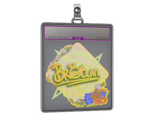 Sticker Slab | Brollan (Holo) | Rio 2022