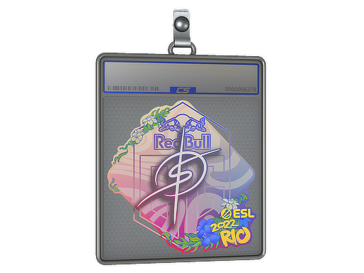 Sticker Slab | degster | Rio 2022