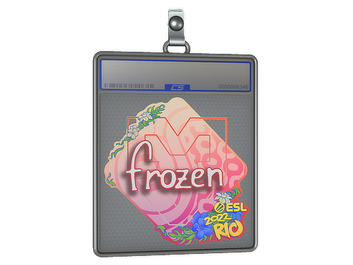 Sticker Slab | frozen | Rio 2022