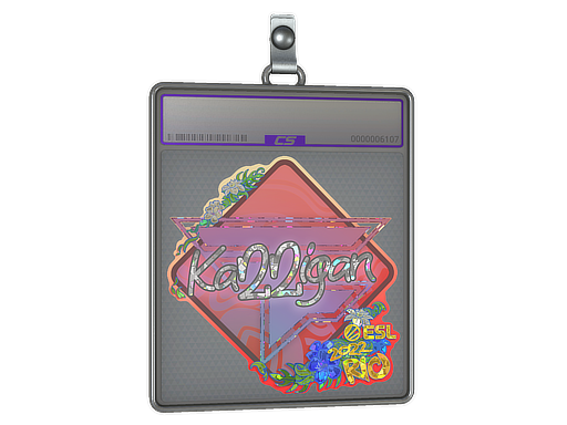 Sticker Slab | karrigan (Glitter) | Rio 2022