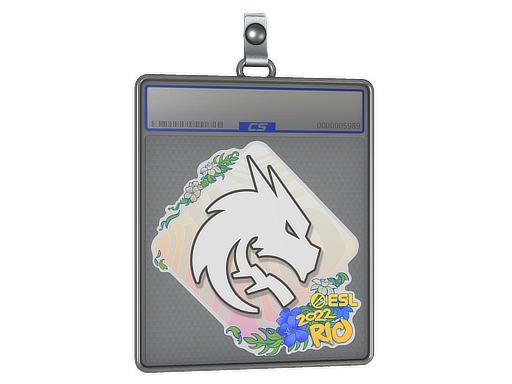 Sticker Slab | Team Spirit | Rio 2022