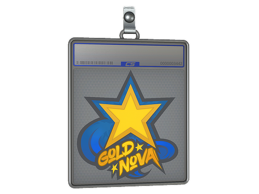 Sticker Slab | Gold Nova