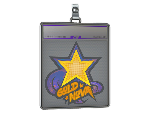 Sticker Slab | Gold Nova (Holo)