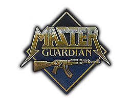 Patch | Metal Master Guardian