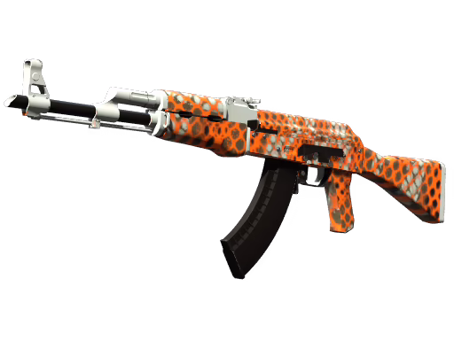 AK-47 | Safety Net