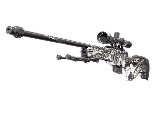 AWP | The End