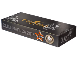 DreamHack Cluj-Napoca 2015 Dust II Souvenir Package