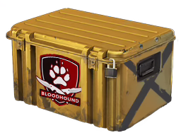 Falchion Case